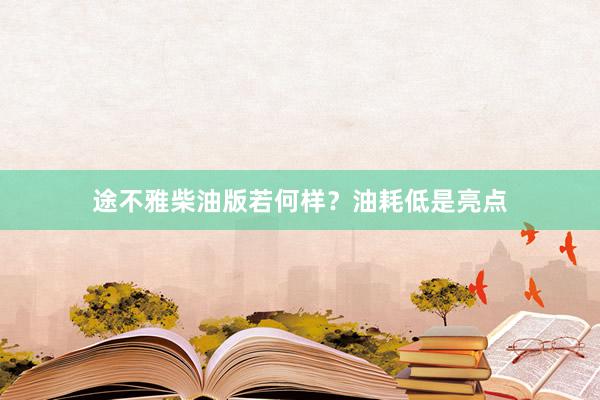 途不雅柴油版若何样？油耗低是亮点